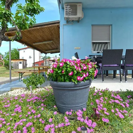 Fuer 3 Personen Ca 30 Qm In Fazana-surida, Istrien Istrische Riviera *